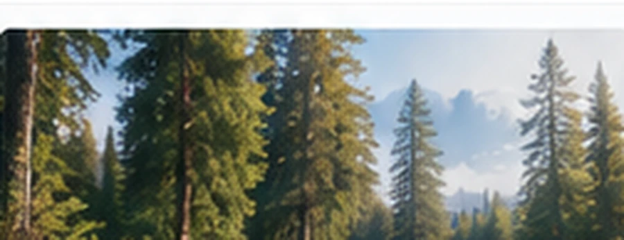 Forest scene representing a clearer view of storage